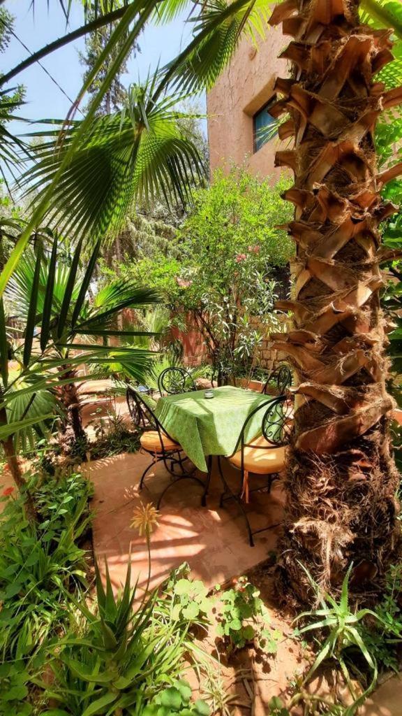 Dar Ouzoud Vegan Hotel Quarto foto
