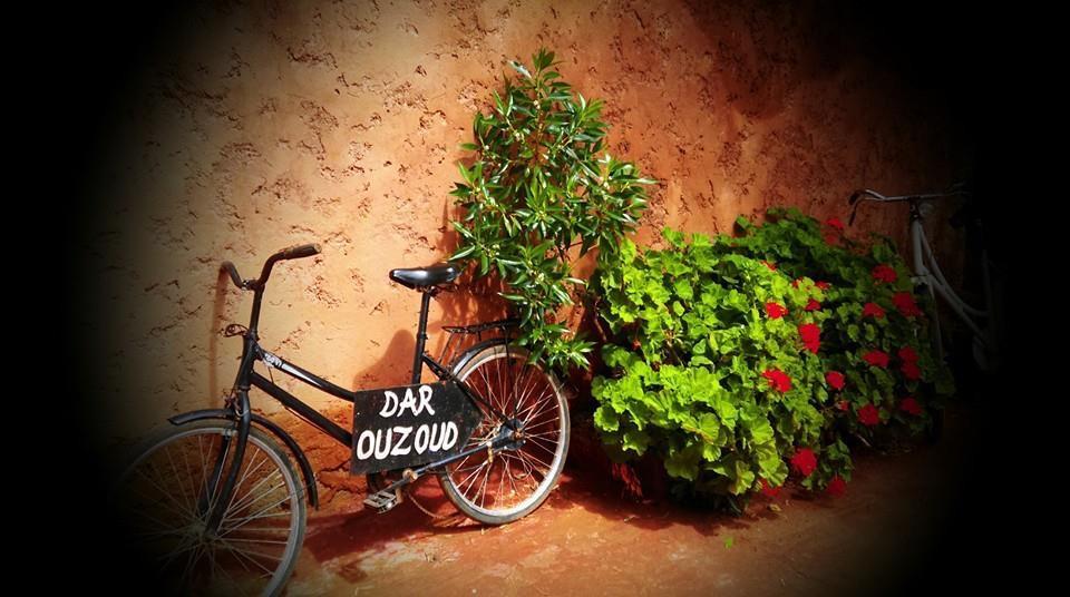 Dar Ouzoud Vegan Hotel Exterior foto